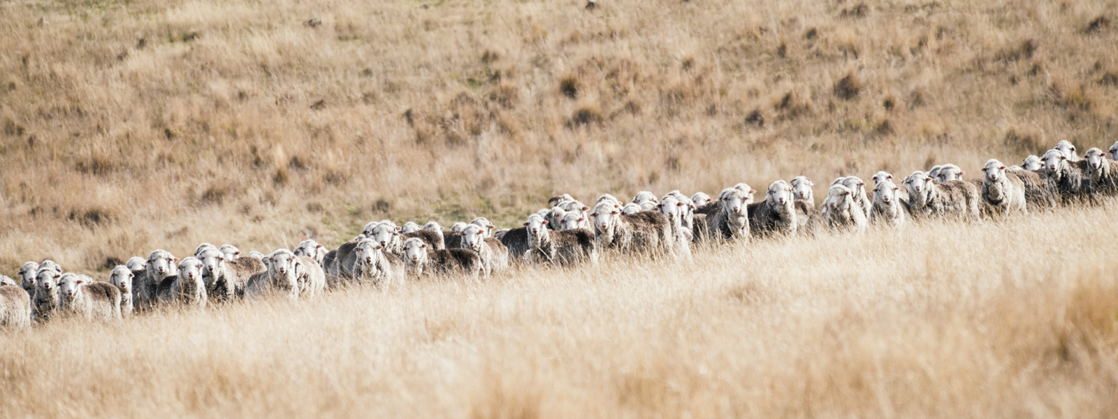 Aus der Natur, für die Natur