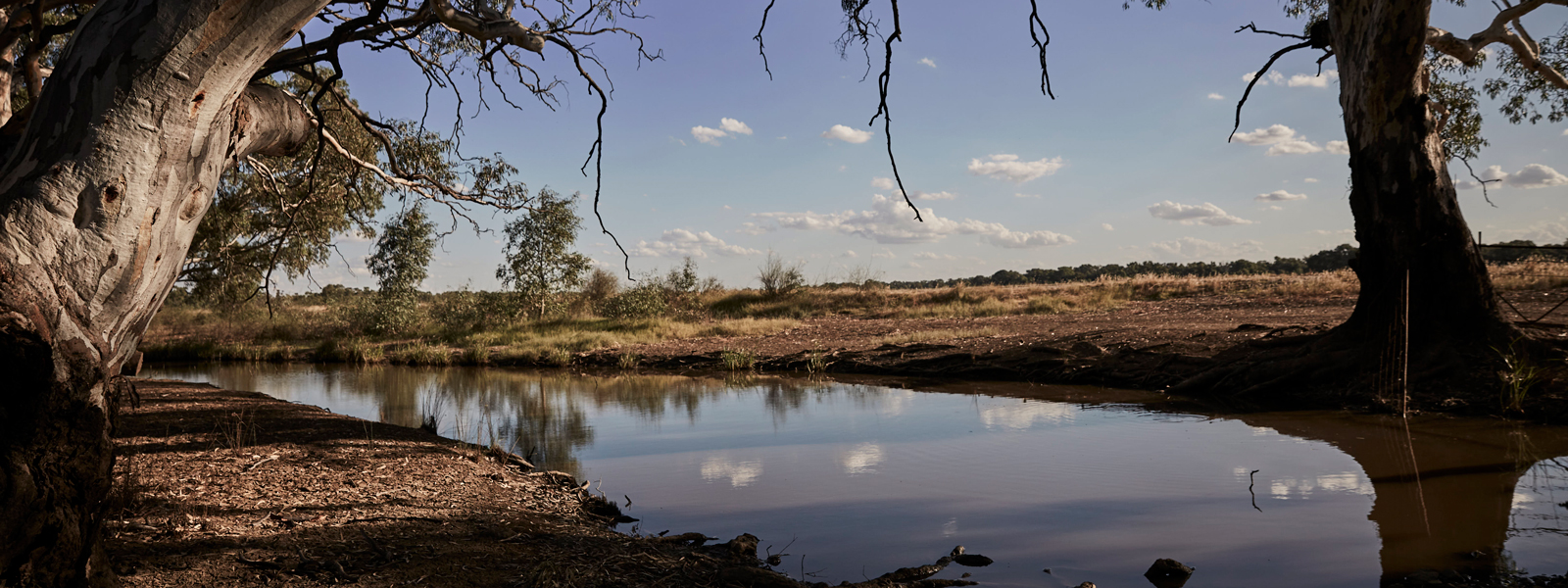 <h3 style="text-align: center;"><span style="color: #ffffff;">Dive Deeper Into The Nature Positive Farming Framework and Explore The Metrics</span></h3>